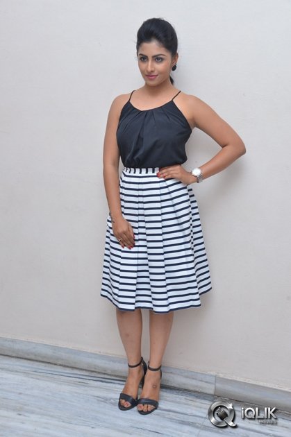 Kruthika-Jayakumar-at-Intlo-Dayyam-Nakem-Bhayyam-Success-Meet